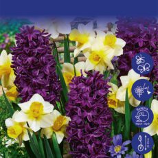 8718641999806 1 Spring Perfume Collection Bulbs.jpg